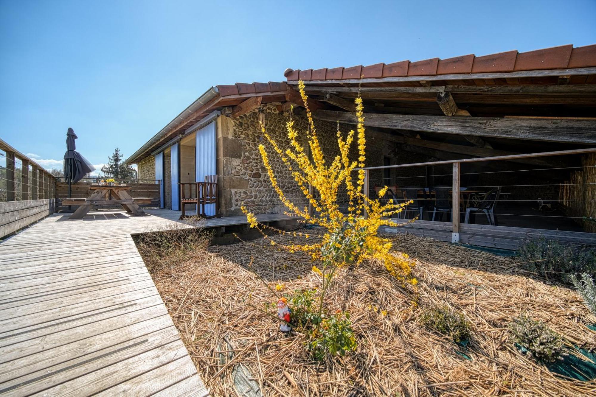 Maison Michonieres - Gite 3 Etoiles - 8 Personnes Miribel  Buitenkant foto